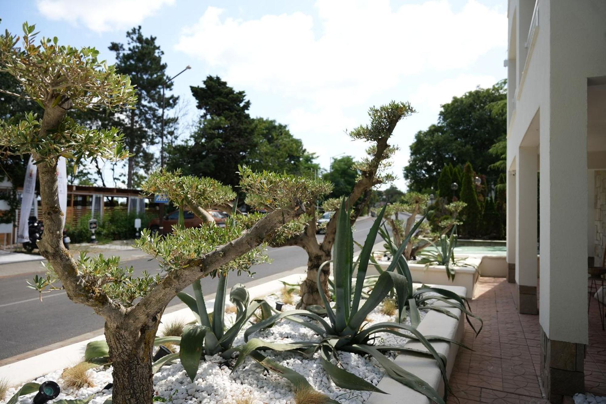 Paradise Bay Hotel Sozopol Exterior photo